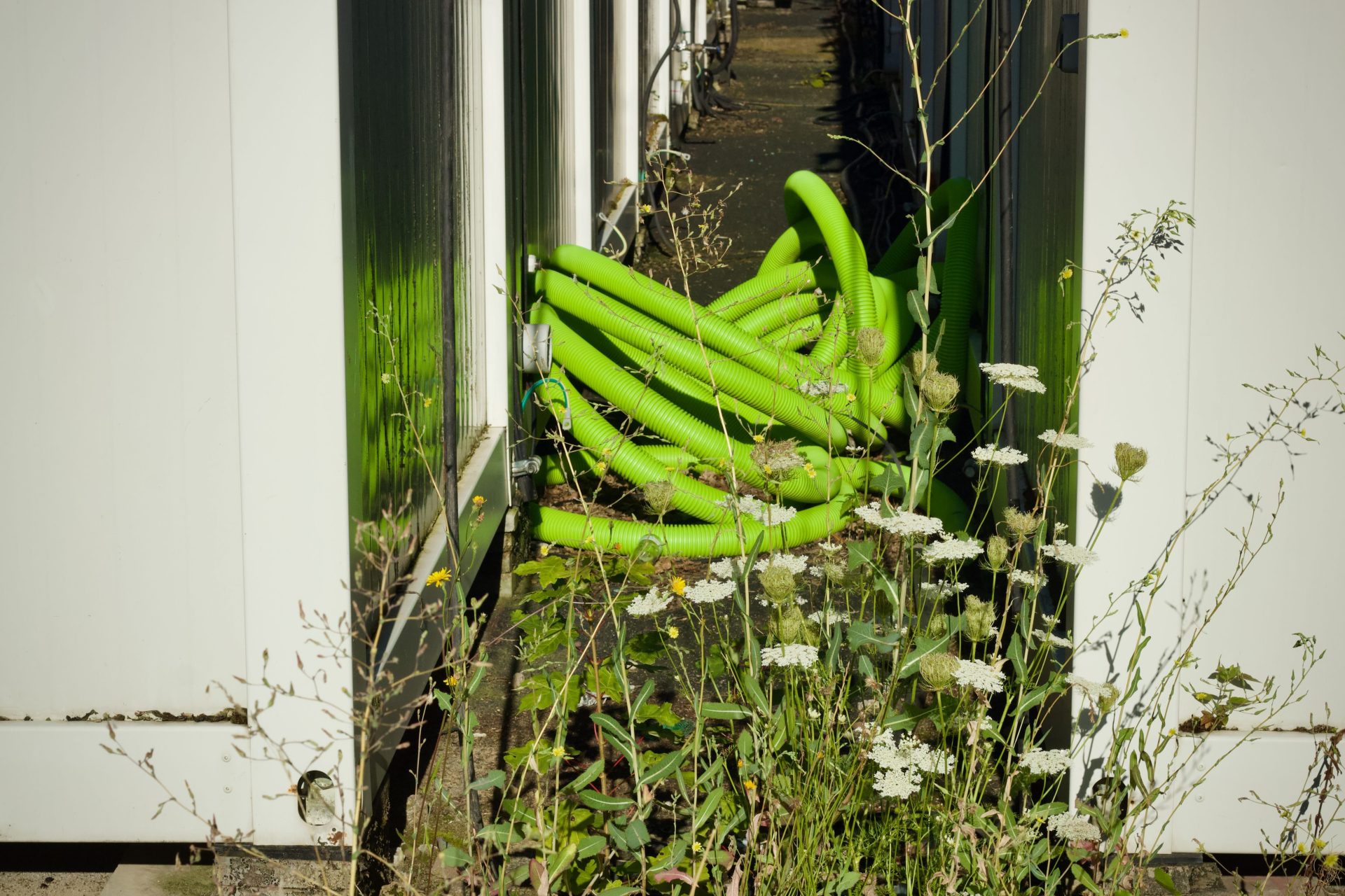 Green tubes in an outdoor industrial setting with wildflowers in the foreground.